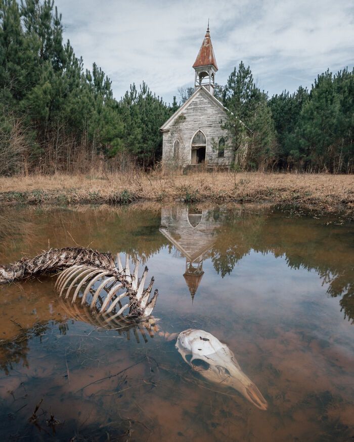 Zdjęcie z Reddita "Creepy".