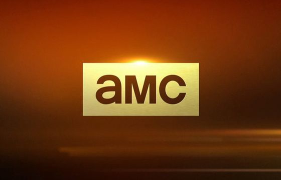 "Dietland" - nowy serial AMC. Zagra Joy Nash