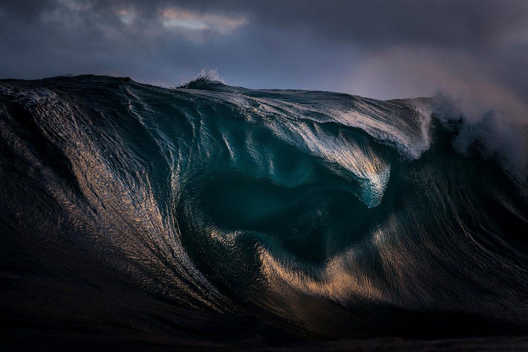 Zdjęcia finalistów Smithsonian Photo Contest zachwycają pięknem i różnorodnością życia 5