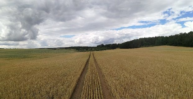 Susza geeneruje kolejne problemy