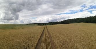 Kolejne problemy rolników. Przez suszę mogą zapłacić kary za niezrealizowane zobowiązań