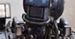 "Chappie" już na DVD