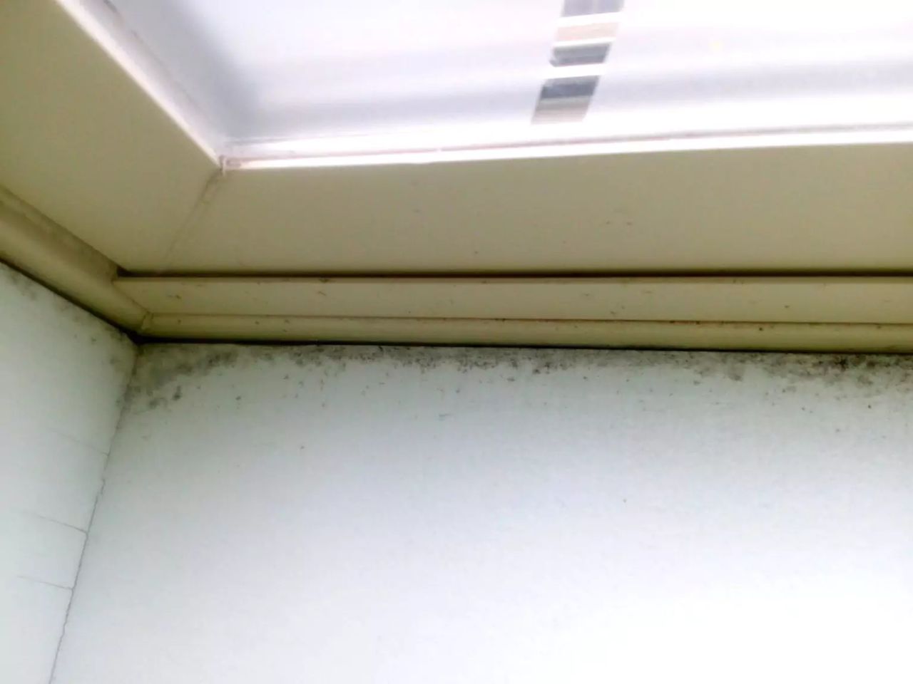 How to remove mold from a windowsill Photo: Imgur