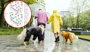 Za ciepło? Długoterminowa prognoza pogody cię ochłodzi