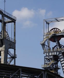 Gwara śląska zagrożeniem? Zaskakująca opinia