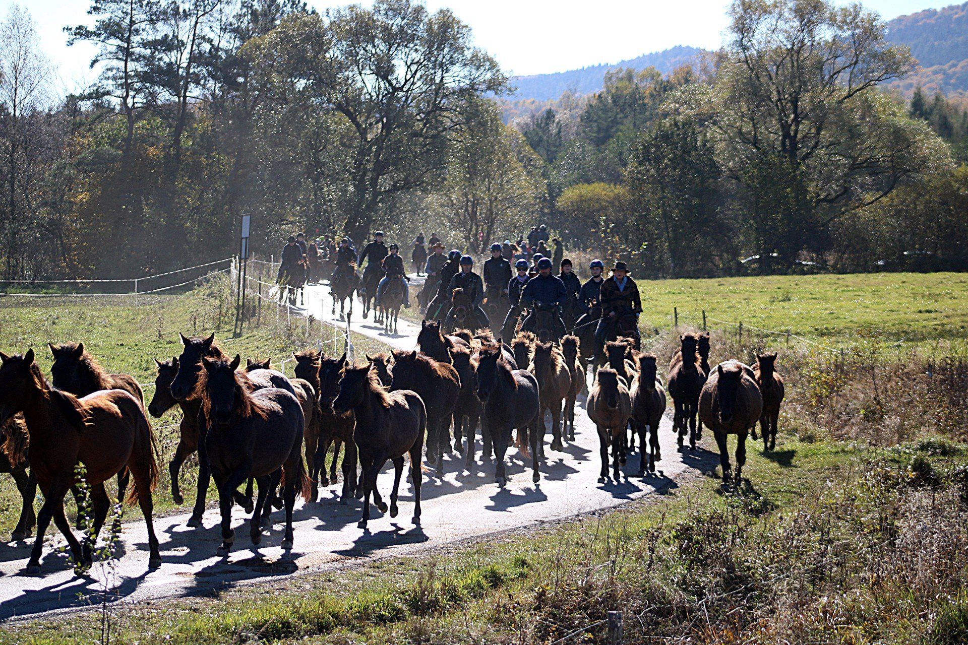 Gorlice z unijnym wsparciem na promocję Beskidu Niskiego
