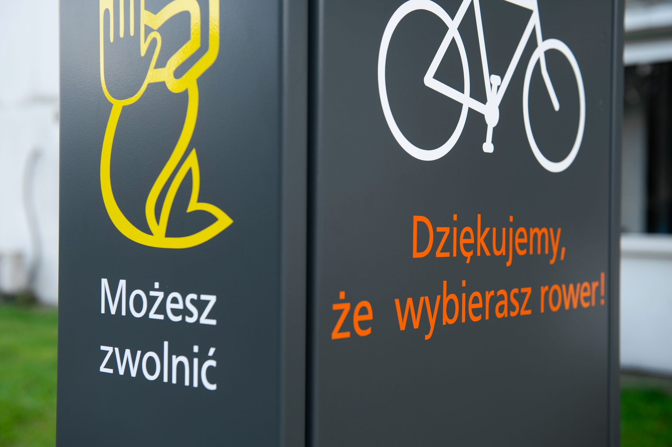 Zamiast zwierząt - syrenka