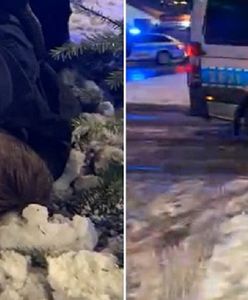 Strajk Kobiet. Brutalne zatrzymanie Bartosza Kramka. "Został pobity"