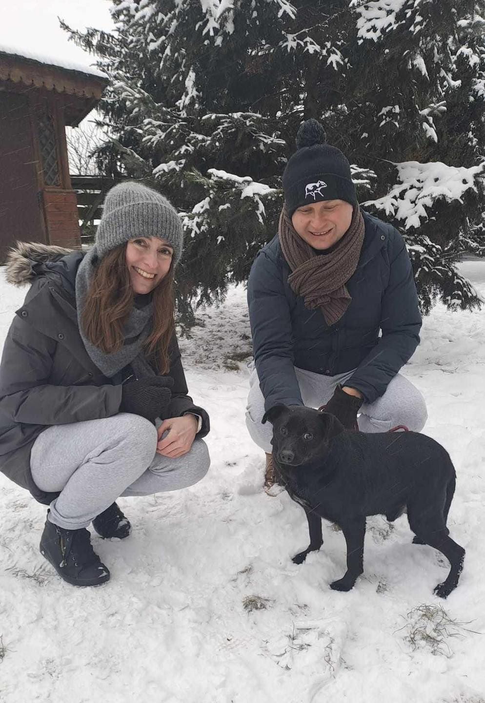 Akcja ratunkowa zwierzaków ze schroniska Kocham Psisko!