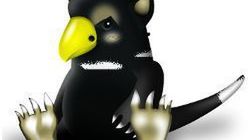 Diabeł tasmański w skórze pingwina reprezentuje Linuksa 1