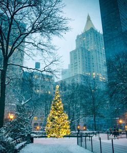 Merry Christmas. Bóg narodził się w Betlejem, ale świąteczne tradycje wymyślili nowojorczycy
