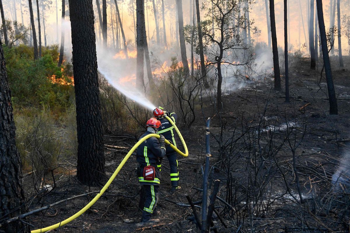 Pożary lasów we Francji. Dwie osoby zginęły