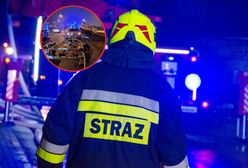 Nietypowa interwencja strażaków na A4