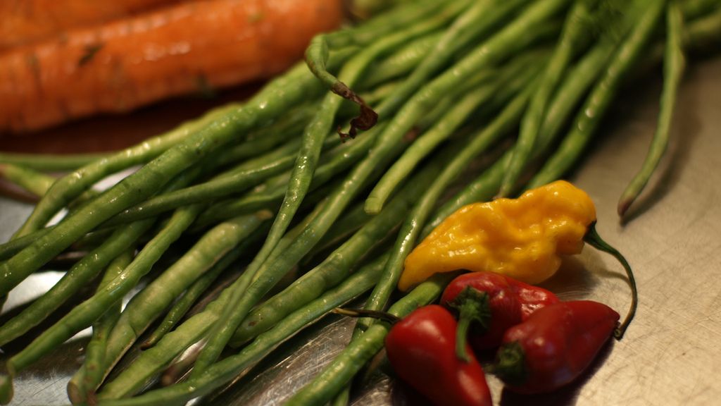 Wspięga chińska gotowana z dodatkiem soli