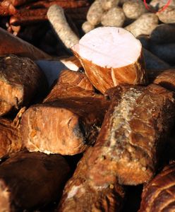 Tragedia na Podkarpaciu. Ekspert o tym, co mogło być przyczyną zatrucia