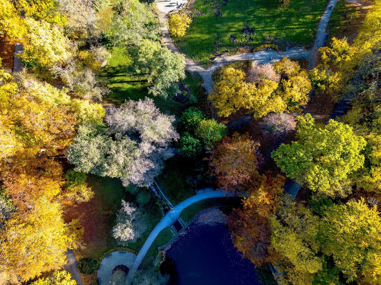 Gdańsk: Park Oruński w jesiennej szacie. Idealne miejsce na spacer, gdy pogoda dopisuje