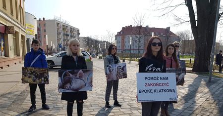 Czy to początek końca Epoki Klatkowej dla zwierząt?