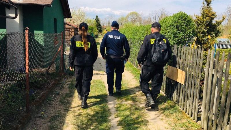 Lublin. 86-latek próbował otruć psy sąsiadek. Może trafić na trzy lata do więzienia