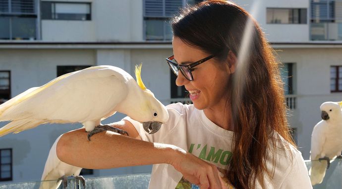 Mój przyjaciel zwierzak