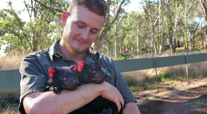 Mój przyjaciel zwierzak