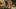 Na Wasteland 2 jeszcze poczekamy
