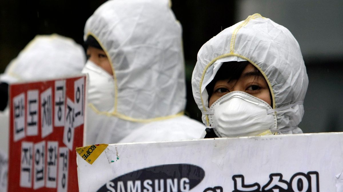 Źródło: techpaws.com