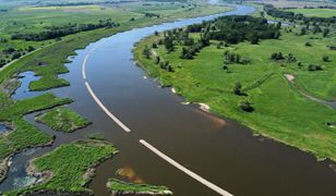 Ryby w Odrze znów padną? Ogłoszono pierwszy stopień zagrożenia złotą algą