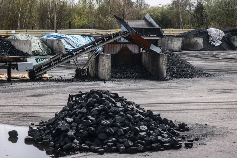 PGG zachęca do przyspieszenia zakupów węgla. Kusi promocjami