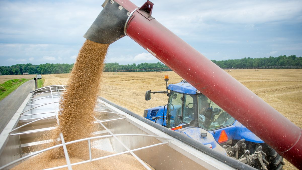 Szykują się pozwy wobec Skarbu Państwa z wprowadzenie zakazu importu żywności z Ukrainy