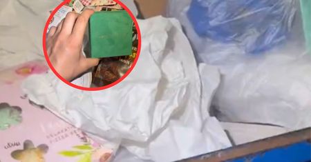 Włożyła rękę do śmietnika. Nie przypuszczała, co tam znajdzie