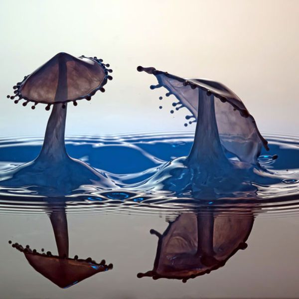 Niesamowite fotografie kropel wody 7