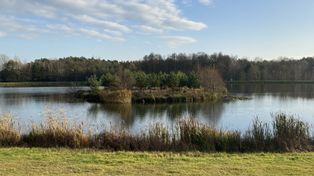 Zielona Góra: Weekendowy spacer? To miejsce zachwyca każdą porą roku