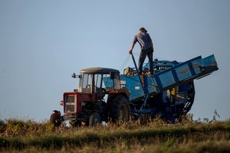 Wyższe emerytury dla rolników? Projekt wraca do komisji
