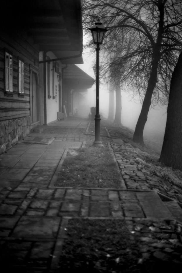 Frymografia: mgliście i przejrzyście 5