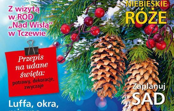Sprzedaż miesięczników o ogrodnictwie w 2015 roku zmalała o 17 proc. „Działkowiec” liderem