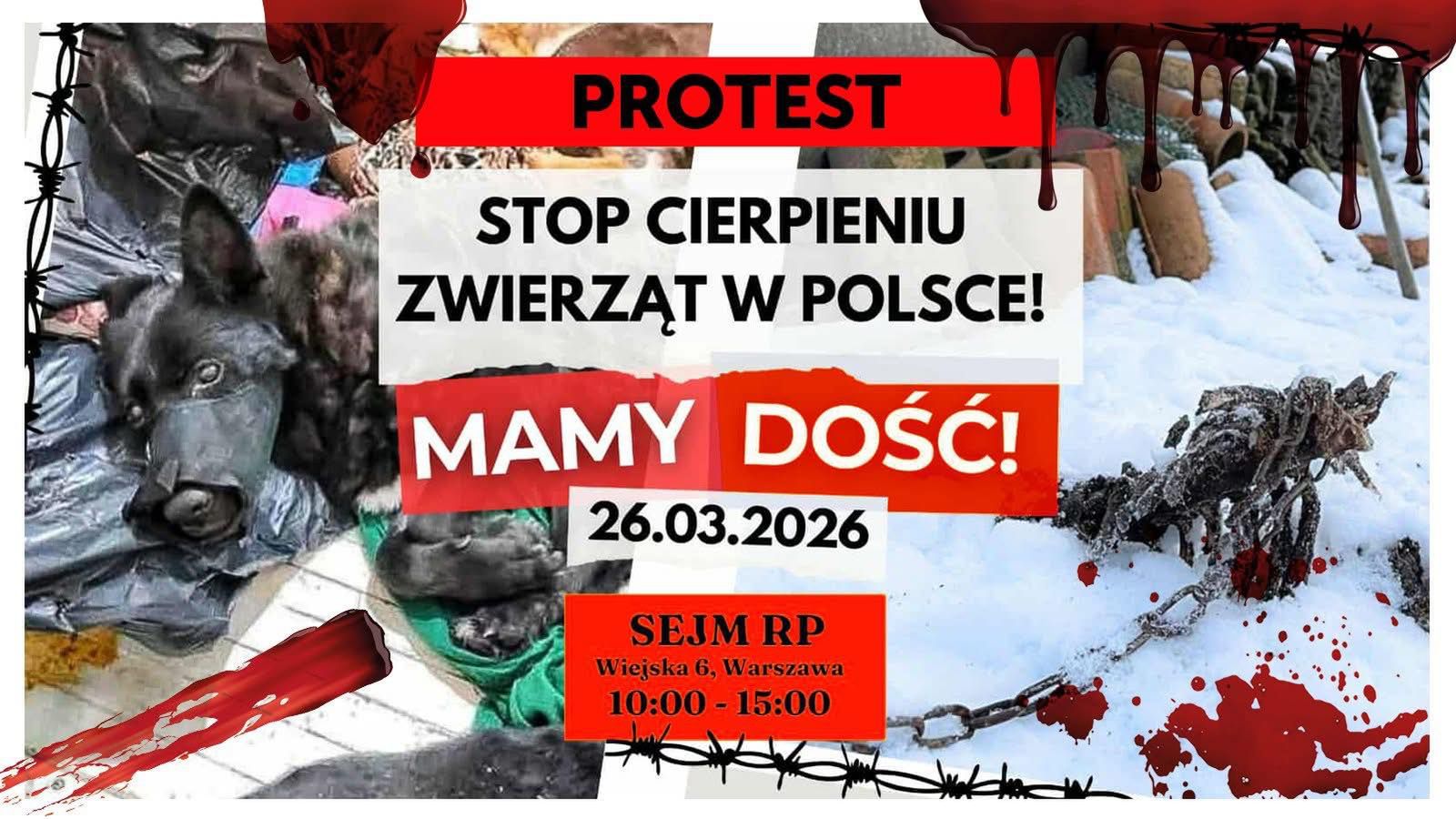 Protest