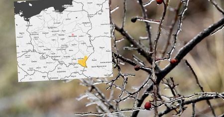 Alerty pogodowe na południowym wschodzie kraju