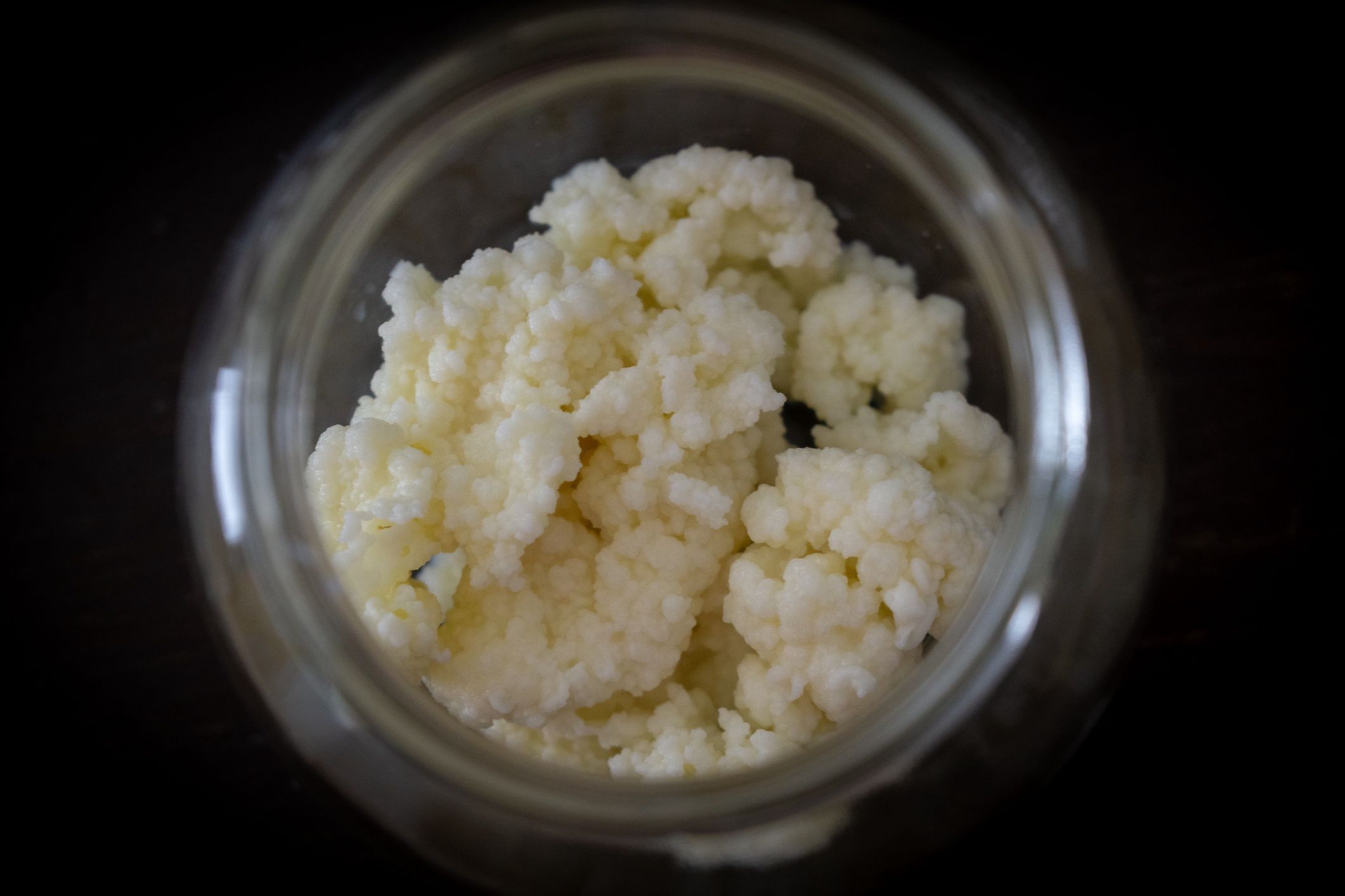Raw fresh milk kefir grains in the bottle jar.Raw fresh milk kefir grains in the bottle jar. SlovakiaValeria Vechterovagrain, grains, raw, fresh, white, lactose, products, object, nutrition, anthotiro, health, bacteria, product, delicious, home made, dairy, healthy, cream, home, natural, probiotics, tasty, yoghurt, f