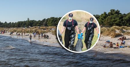 Szwedzki rząd po raz pierwszy zabiera głos ws. zatrutej Odry. "Poważne zdarzenie"