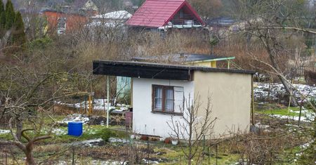 Wojsko miało dobrać się do działek ROD. Nagły zwrot