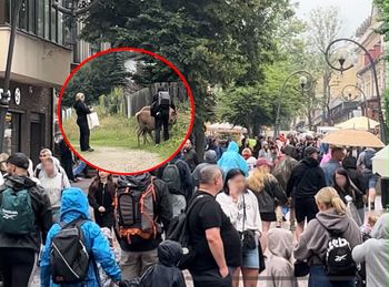 Zdjęcia z Zakopanego hitem w sieci. "Niewyobrażalna nieodpowiedzialność"