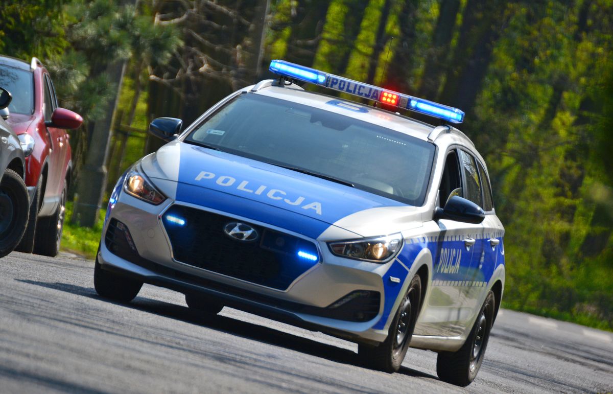 Aleksandrów Łódzki. Policjanci uwolnili 2-latka z nagrzanego samochodu
