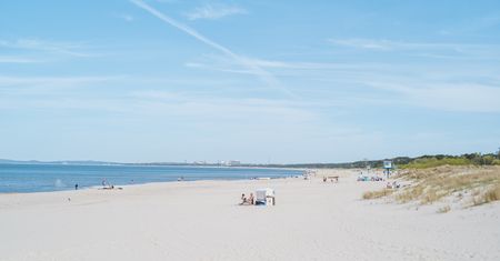 Niesamowite odkrycie nad Bałtykiem. Egzotyczna niespodzianka