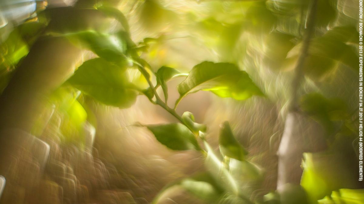 Jak uzyskać taki niesamowity, wirujący bokeh? 1