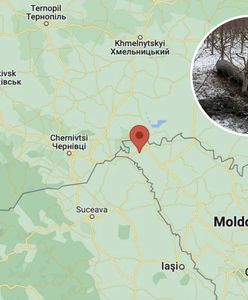 Rakieta spadła na terytorium Mołdawii. Kiszyniów potwierdza