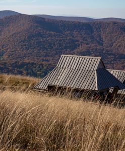 Mieszka w chatce bez prądu. Dostał wezwanie do zapłaty abonamentu RTV