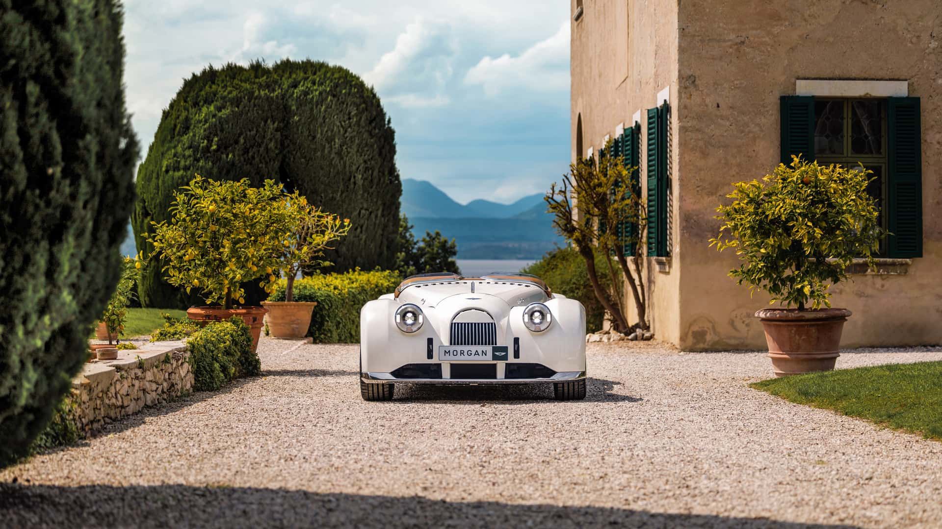 Morgan Midsummer