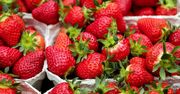 Krajowe truskawki już w sprzedaży. Ich cena odstrasza