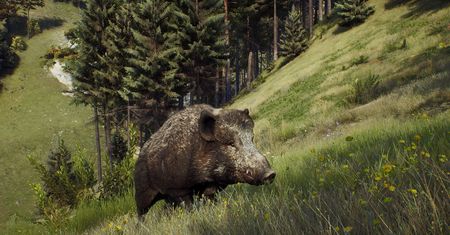 Way of the Hunter ma zapewnić piękne widoki. Twórcy rekomendują RTX 2070 Super