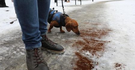 Zainspirowali się Lwowem. Kraków wysypuje kawę na ulice